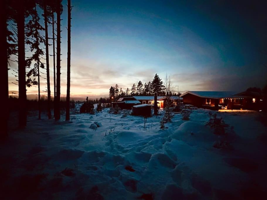 Langroesta; Ruime Blokhut Grenzend Aan Bos Villa Hagfors Eksteriør billede
